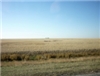 P1020133