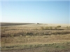 P1020145