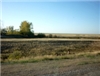 P1020151