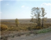 p0000060