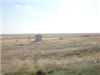 p0000061